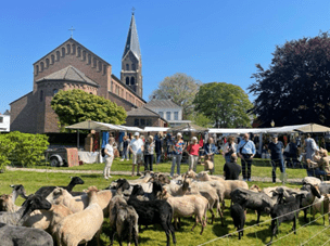 afbeelding1 2