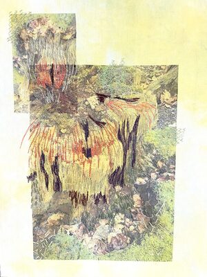 forest-2-inge-witvers-1